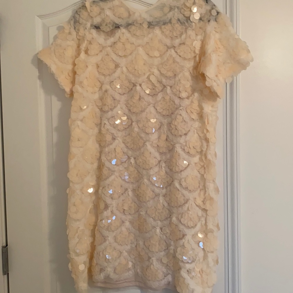 Zara dress